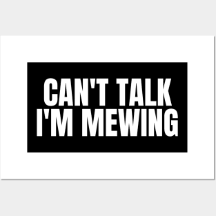 Can't Talk, I'm Mewing Posters and Art